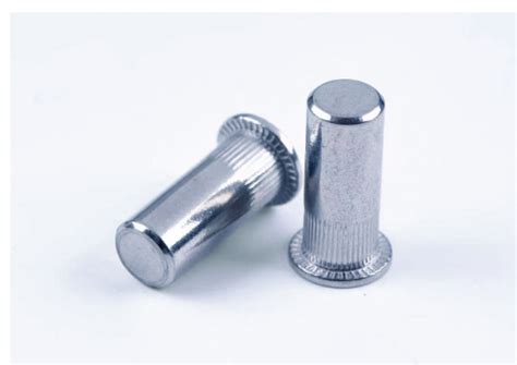 Stainless Steel Rivet Insert Nut Flat Head Riveted Nuts Rivet Nut