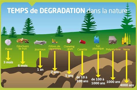 10 conseils pour se balader en forêt