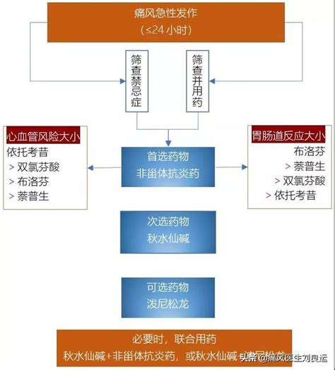 治痛風憑經驗吃藥？醫生闢謠：根據胃腸和心腎功能合理用藥降尿酸 每日頭條