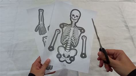 Cara Membuat Wayang Tengkorak Kardus Mainan Jadul An Diy Cardboard