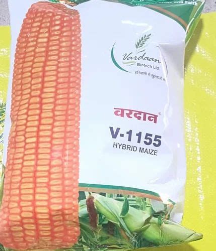 Yellow Hybrid Maize V For Sowing Packaging Size Kg At Rs