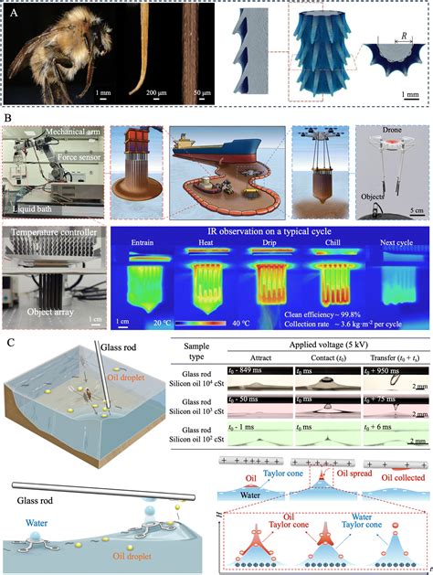 Bioinspired Superwetting Oilwater Separation Strategy Toward The Era