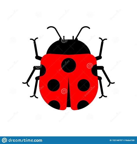 Ladybug Aislado Estilo De La Historieta Del Insecto Ilustraci N Del