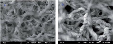 A And B FESEM Images Of The RPAD Hydrogel At Di Ff Erent Magni Fi