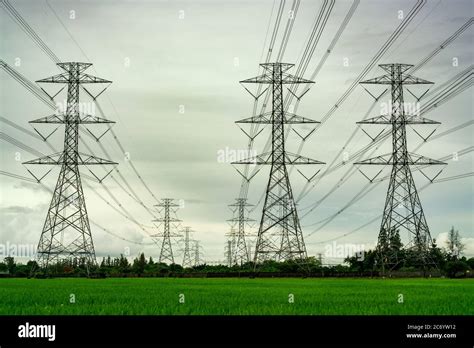 High Voltage Electric Pylon And Electrical Wire At Green Rice Field And