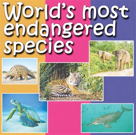 Pictures Of Endangered Animals In The World - PictureMeta