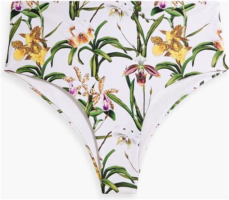 Agua By Agua Bendita Alicia Floral Print High Rise Bikini Briefs Shopstyle Panties