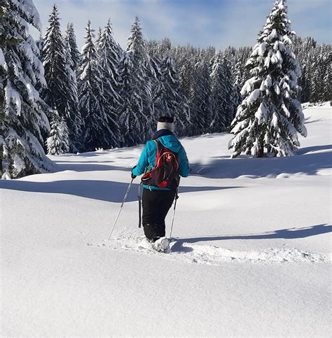 Balades En Raquettes En Haute Savoie Les Sorties De Sophie Haute