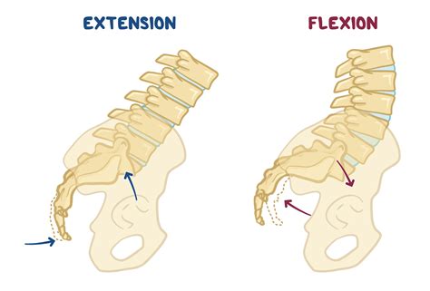 Sacrum Muscle Energy Treatment Osmosis