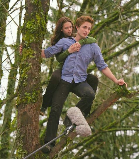 Edward And Bella In The Tree