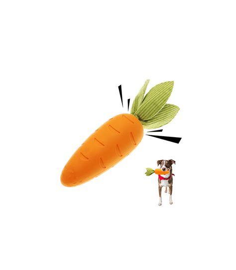 Manufacture & Customize - Rubber Carrot Squeaky Dog Toy | Customizable ...