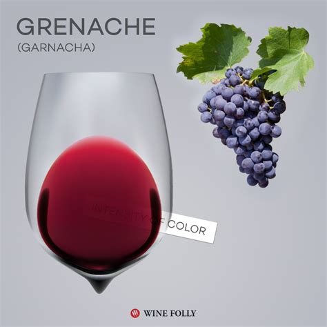 Surprising Facts About Grenache Wine