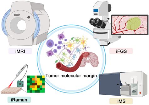 Frontiers Advances In The Intraoperative Delineation Of Malignant