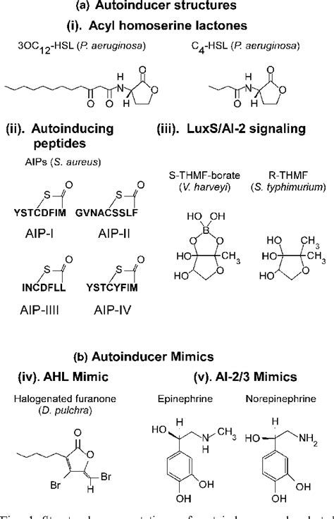 Figure 1 From Inter Kingdom Signaling Deciphering The Language Of Acyl