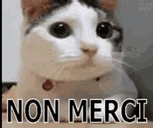 Non Merci GIF - Non Merci Nope No - Discover & Share GIFs