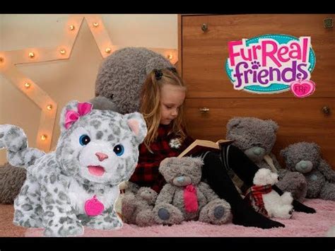Снежный барс от FurReal Friends и "снежный" шотландский кот барс ...