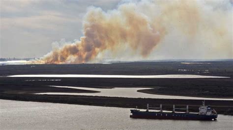 Delta El Fuego Arrasó Con 300 Mil Hectareas Y Devastó Especies