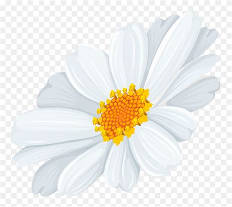 Clip Art Daisy Clipart Black And White Lskzwjk - White Daisy Clipart ...