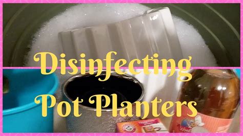 Come Clean And Sanitize Pot Planters With Me Part 4 Spring Your