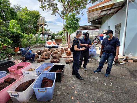 山老鼠趁選舉熱盜伐逾噸牛樟 檢警拂曉出擊 社會焦點 太報 Taisounds