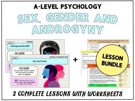 Sex Gender Androgyny And The Brsi Lesson Bundle [a Level Psychology Gender Topic] Teaching