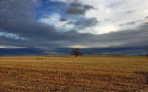 Fotos Gratis Paisaje Naturaleza Horizonte Cielo Cabello Campo