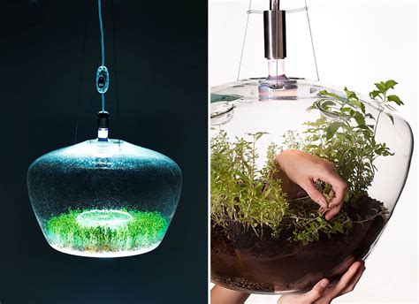 15 самых необычных ламп и люстр / 15 Most Awesome Lamps And Chandeliers ...