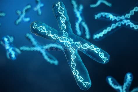 Di X Y Cromosomi Con DNA Che Porta Il Codice Genetico Concetto Della