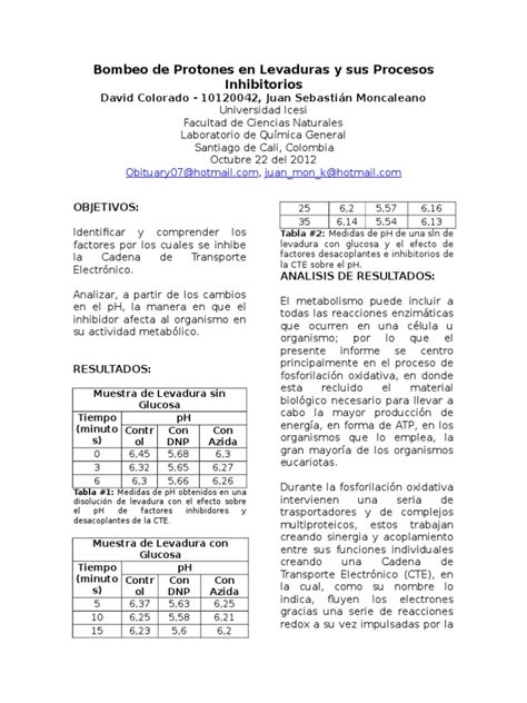 Duit Modal: Your Guide To Understanding Capital In English