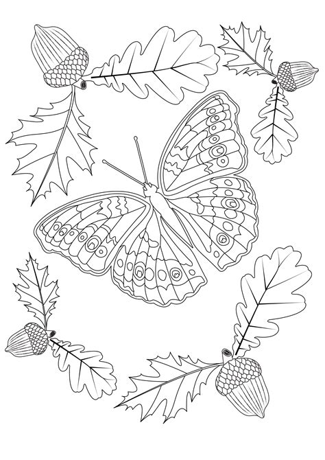 Autumn Butterfly Butterflies And Insects Coloring Pages For Adults