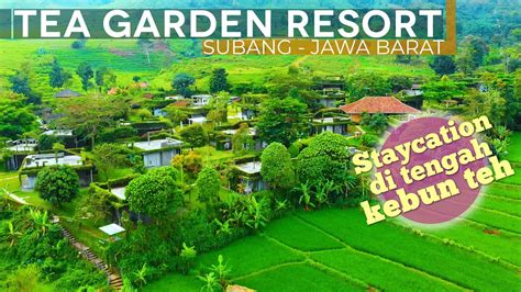 Tea Garden Resort Staycation Di Tengah Kebun Teh Subang Youtube