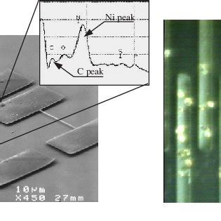 A The SEM Of The As Deposited Electroless Nickel EN Ni Iron II