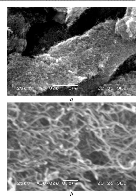 Figure 1 From Multiwalled Carbon Nanotubes Modified With Biocompatible