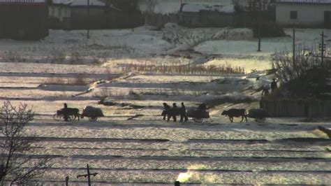 Beyond Utopia, a Harrowing New Documentary About Escaping North Korea ... 