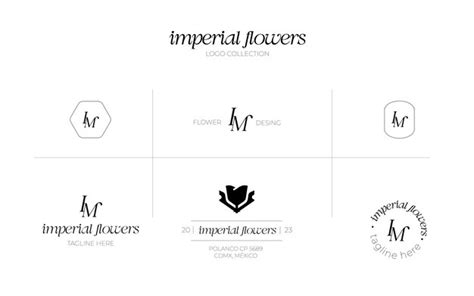 Colección de plantillas de logotipos florales Vector Premium