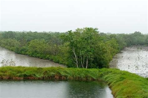 Book Sundarban Bengal Tourism Package Tour From Kolkata