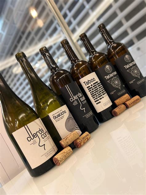 Visit and Wine Tasting at Divisa in Andalusia | WineTourism.com