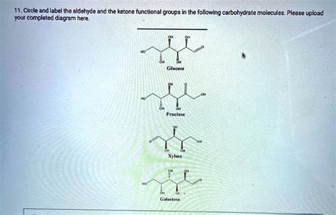 Solved Circle And Label The Aldehyde And The Ketone Functional