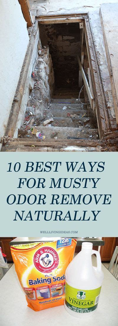 10 Best Ways For Musty Odor Removal Naturally These Are Effective