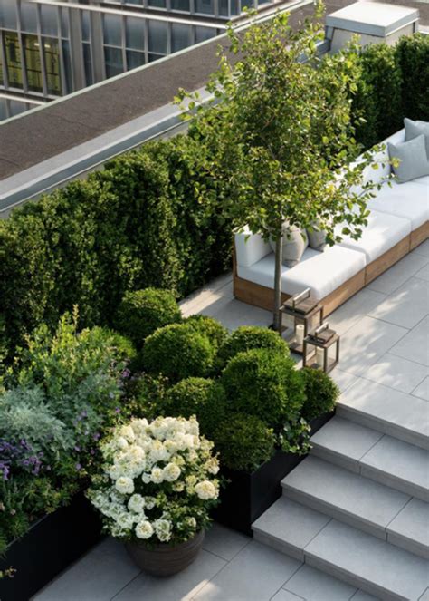 14 Ideas for your rooftop garden - Plants & Gardens