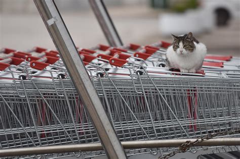 Hup Zbog Zabrane Rada Nedjeljom Male Trgovine Registrirat E Se Za