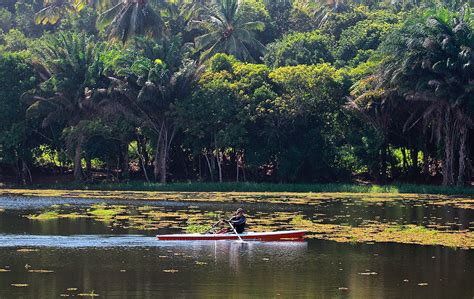 Parque de Pituaçu reabre após mais de um ano fechado por causa da