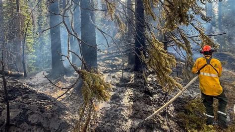 Incendio Forestal Amenaza A La Ciudad De Jasper En La Provincia De