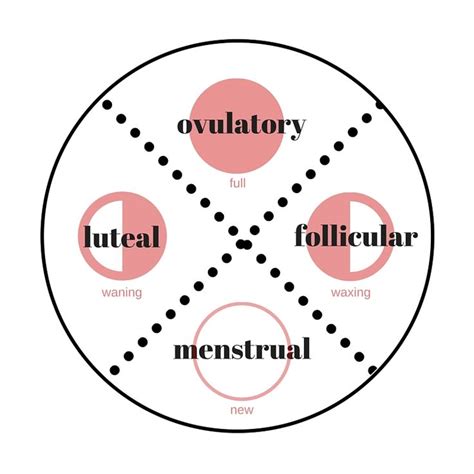 A Few Thoughts About Two Cycles — The Menstrual And Lunar Cycle — Femmehead Menstrual Lunar