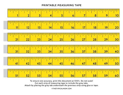 Measuring Tape