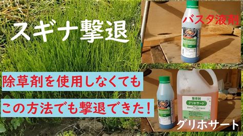 スギナに効く除草剤はこれ！除草剤を使わずに雑草を生育させない方法！ Youtube