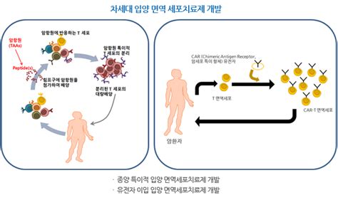 면역치료연구과 융합기술연구부 연구소 국립암센터