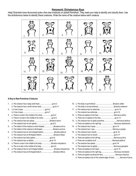 Printable Dichotomous Key