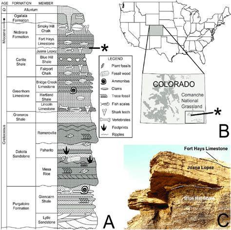 Stratigraphic And Geographical Framework A Post Jurassic Download Scientific Diagram