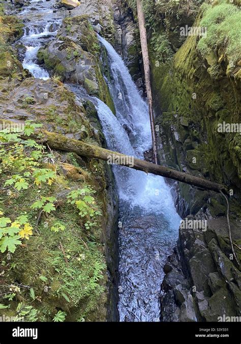 Sol Duc Hot Springs Campground Hi Res Stock Photography And Images Alamy